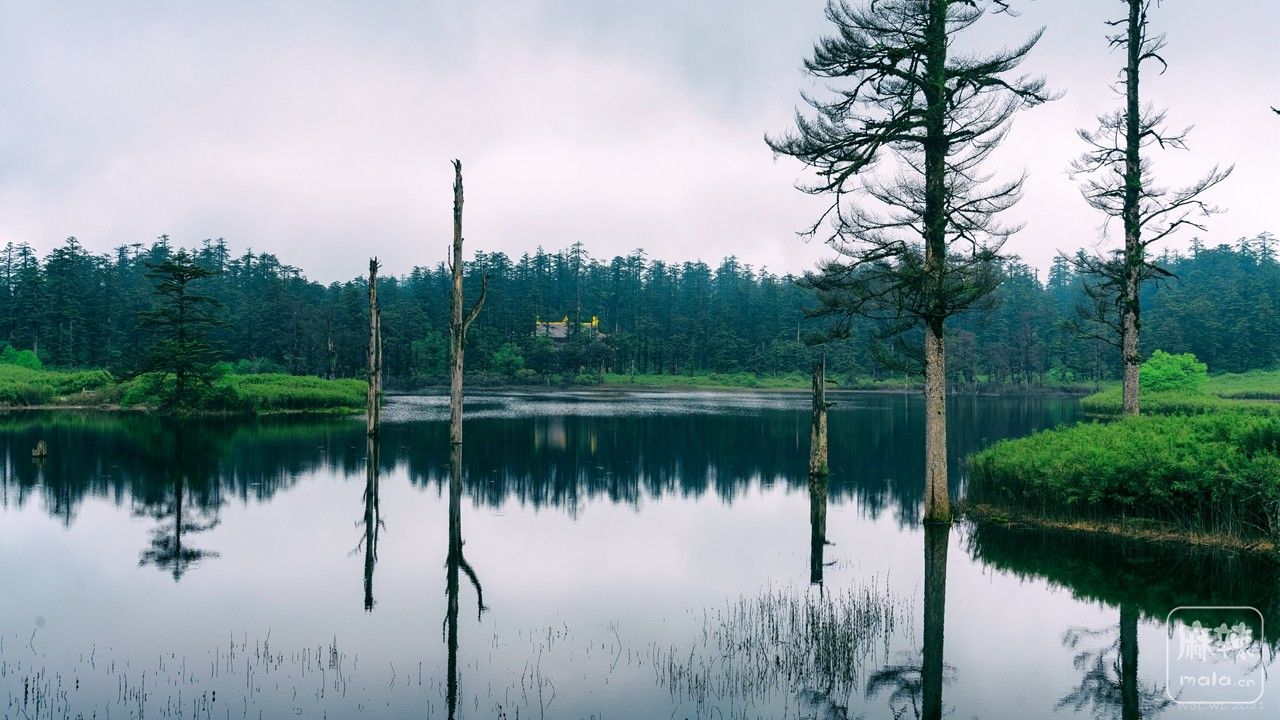 _DSC4215-1 - .jpg