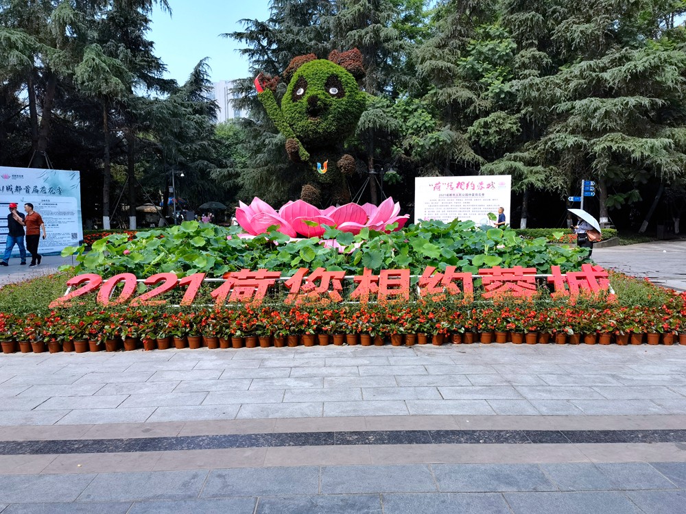 IMG_20210628_101859.jpg
