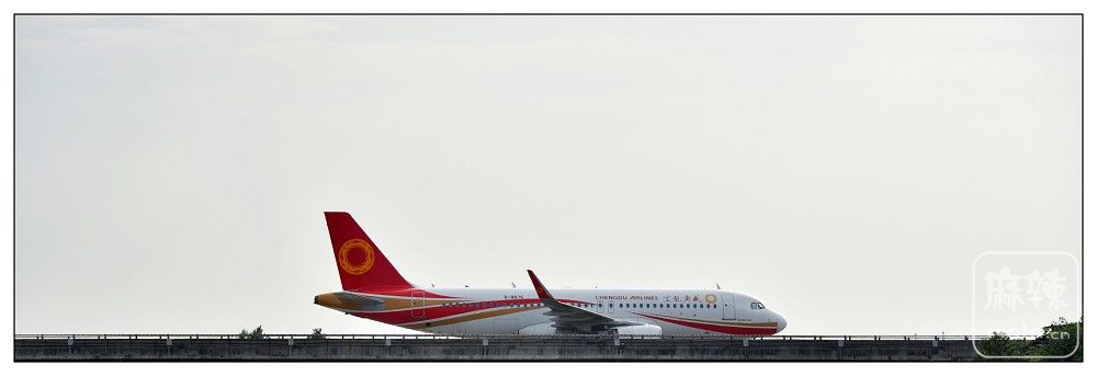 DSC_8925.jpg