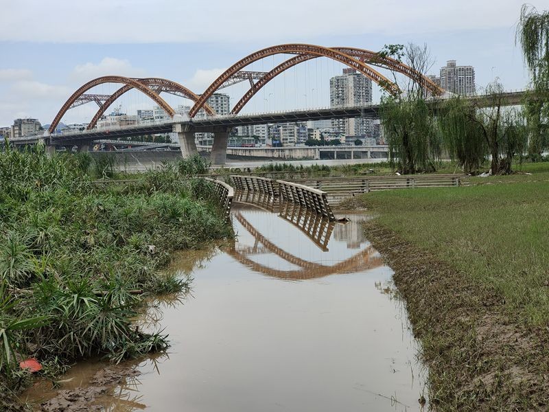 又讓南充高坪下中壩繽紛水岸溼地公園損失不小820382038203