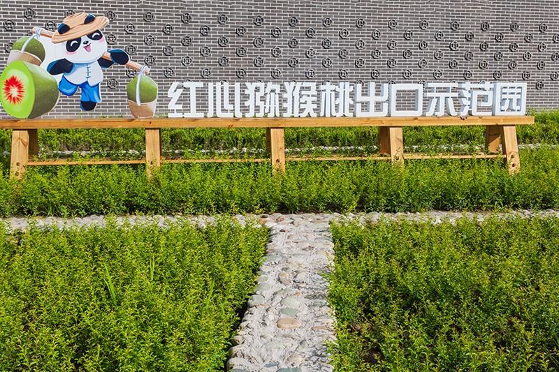 13.jpg