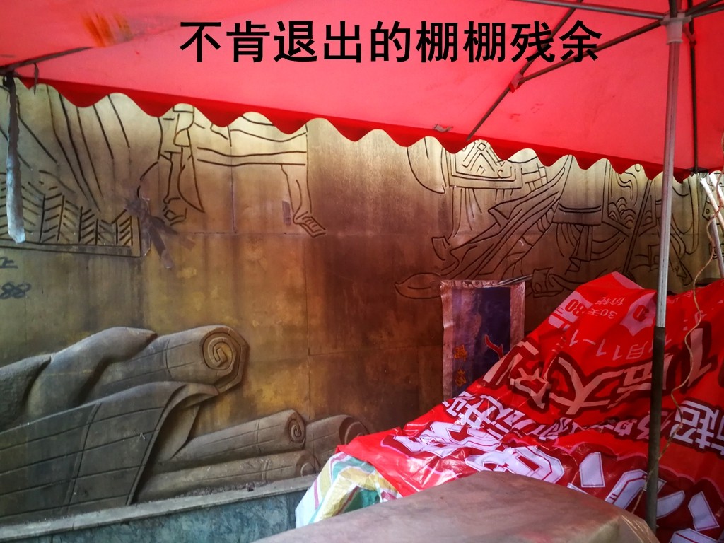 IMG_20210803_073231.jpg