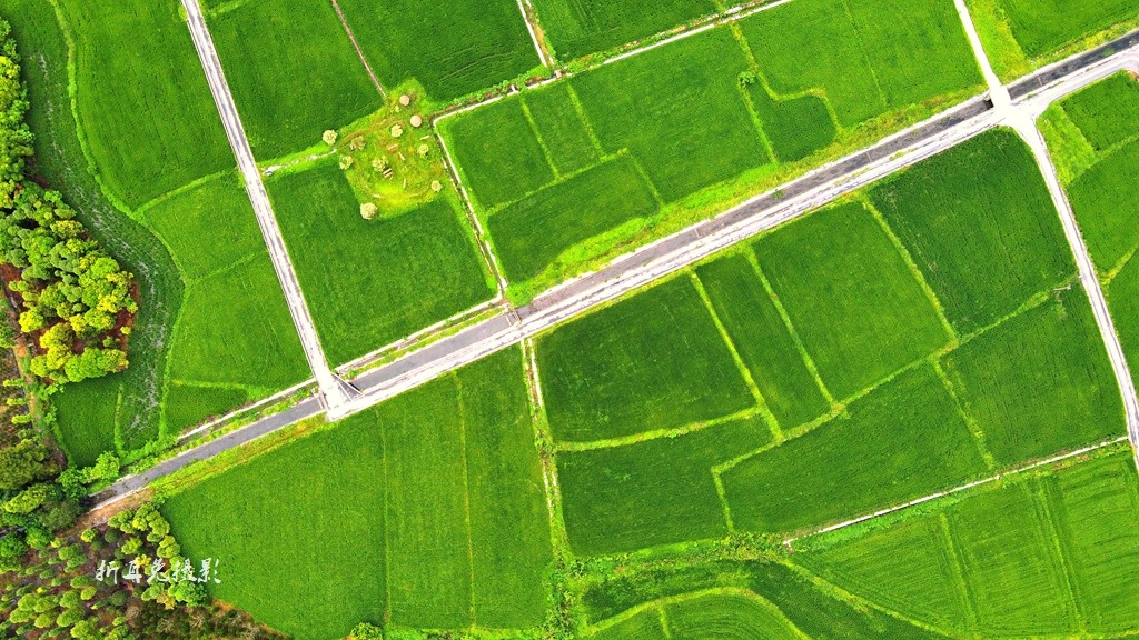 DJI_0694.jpg