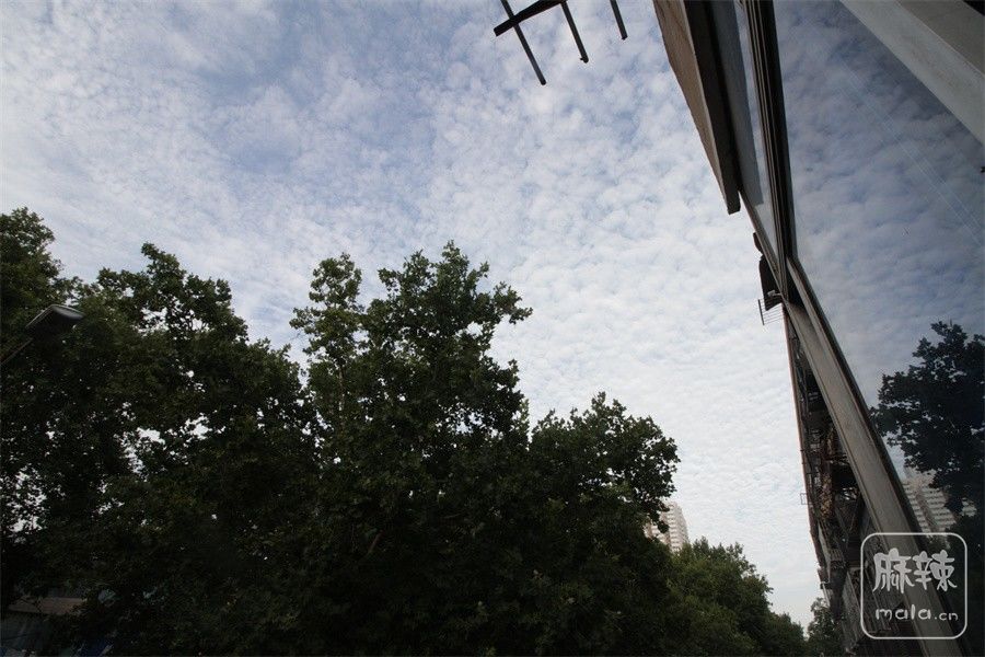 IMG_8747.JPG