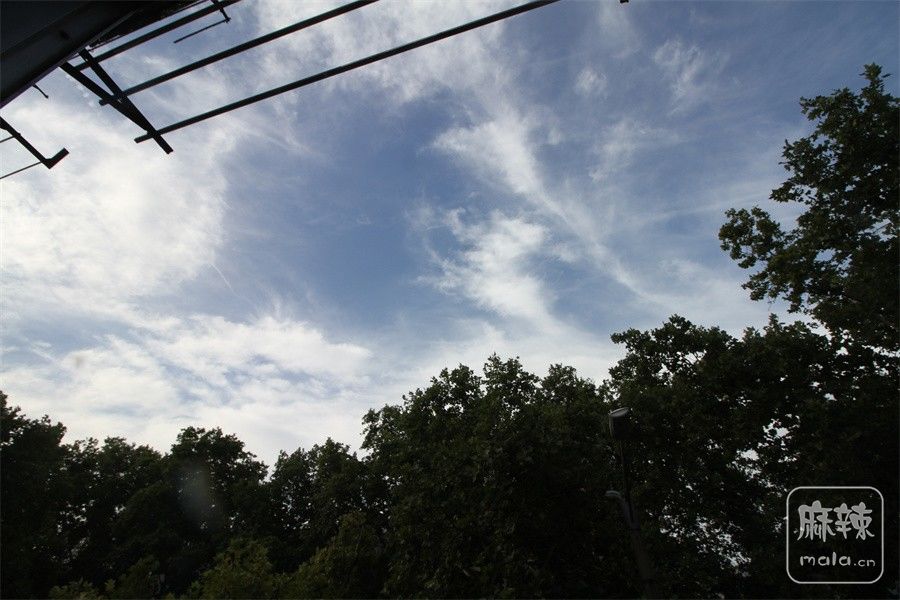 IMG_8765.JPG