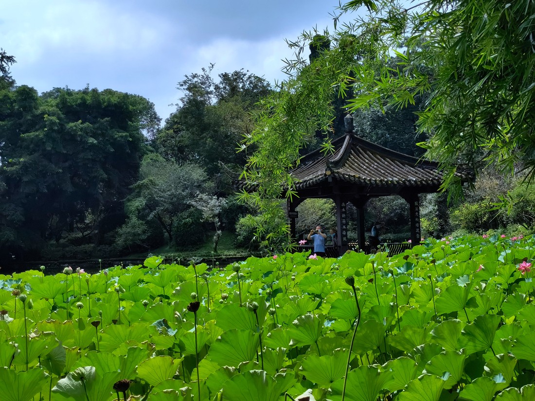 郫县周边好玩的景区图片