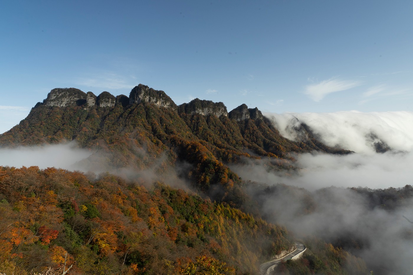 DSC06819jpg082921.jpg