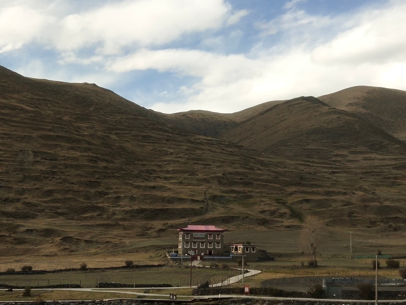 IMG_20210430_181216.jpg