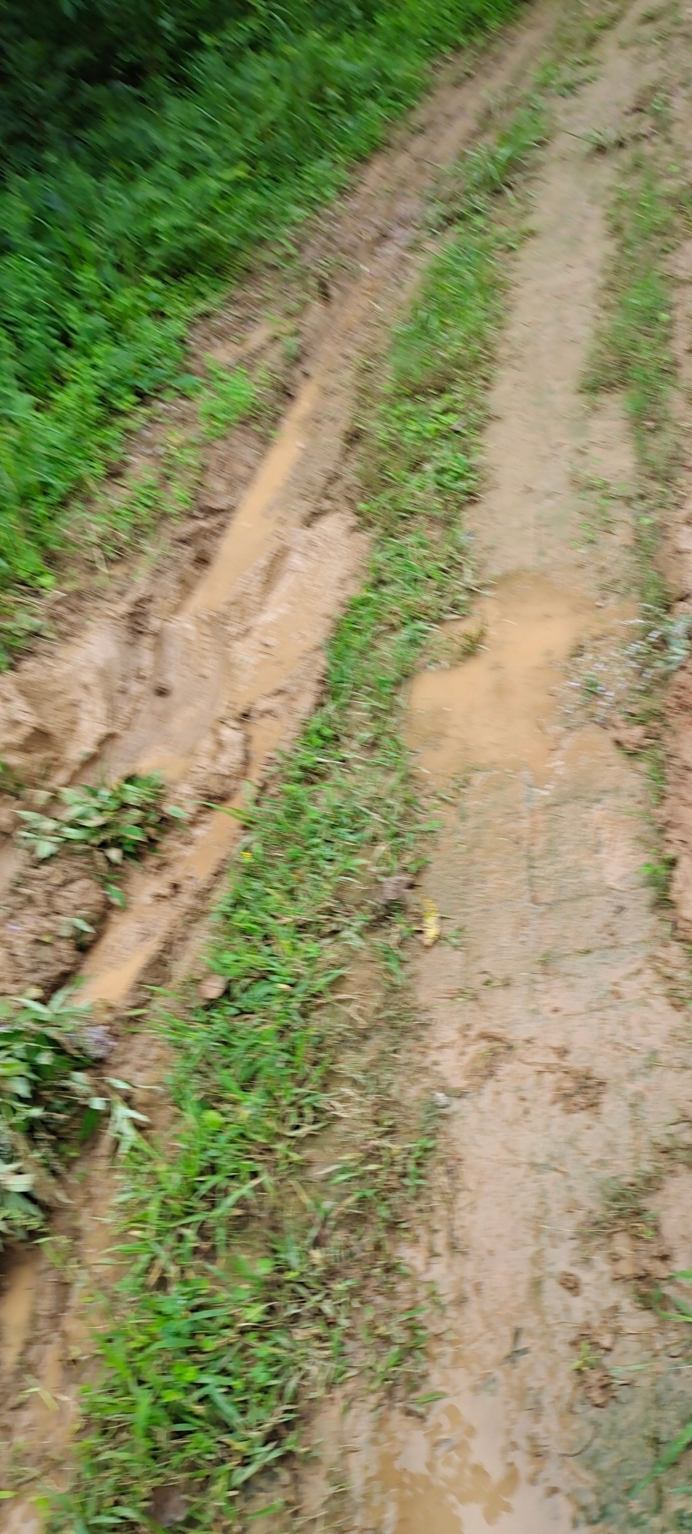 IMG_20210901_112729.jpg