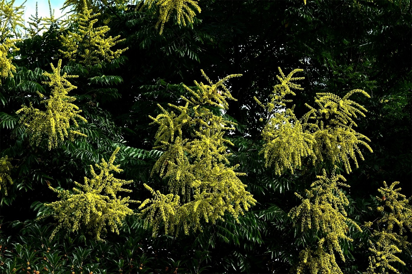 DSC_3214.JPG