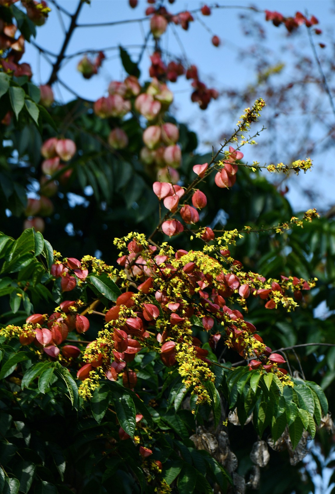 DSC_3274.JPG
