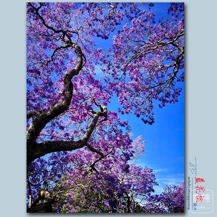 麡38.jpg