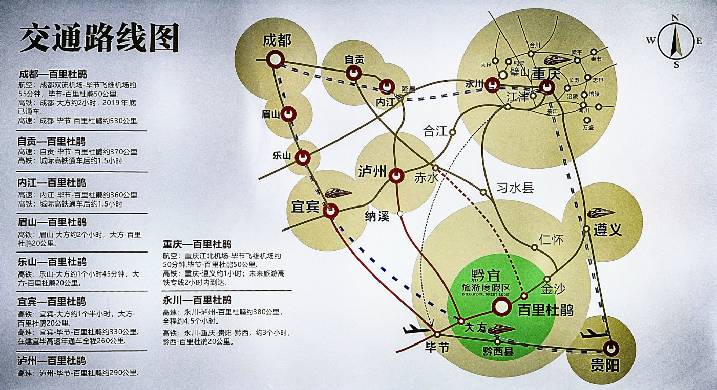 贵州百里杜鹃旅游路线图片