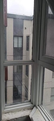 8DA37526-437C-481D-B008-CA00E29F9FD6.jpeg