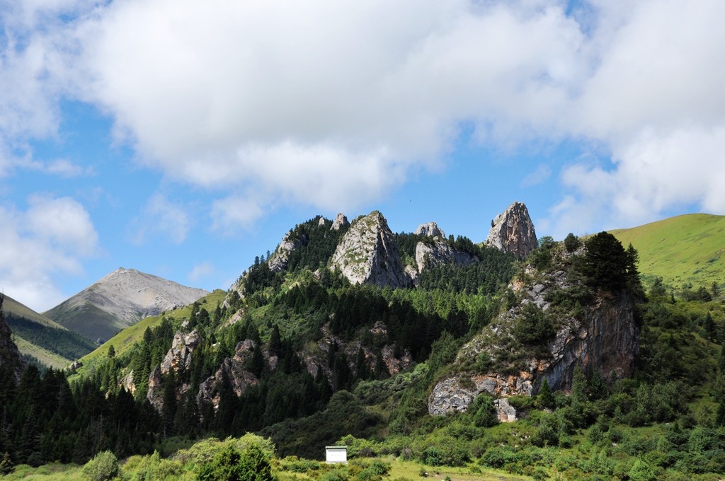 甘肃则岔石林风景区图片