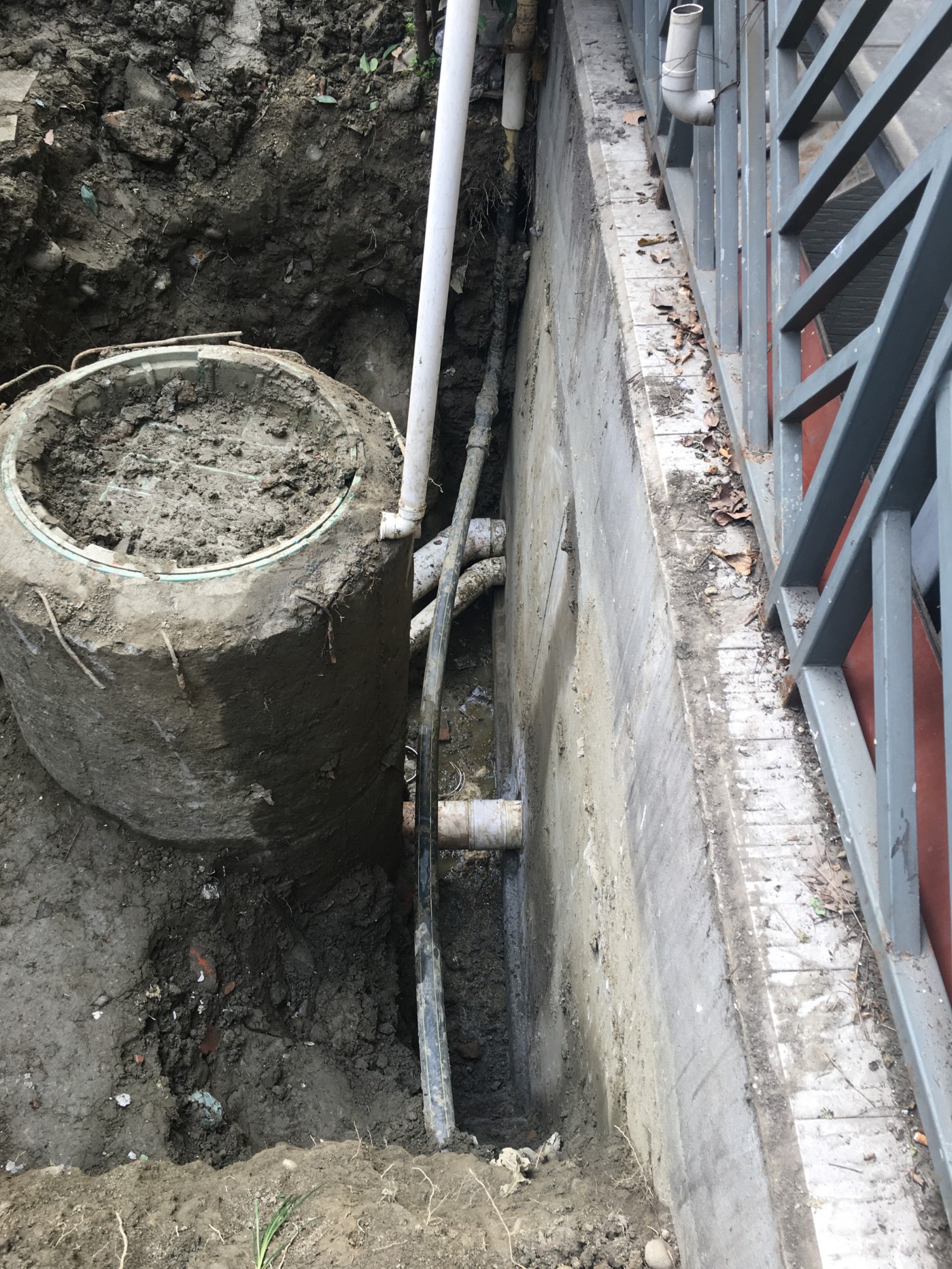 2���������ӵ�ȫò