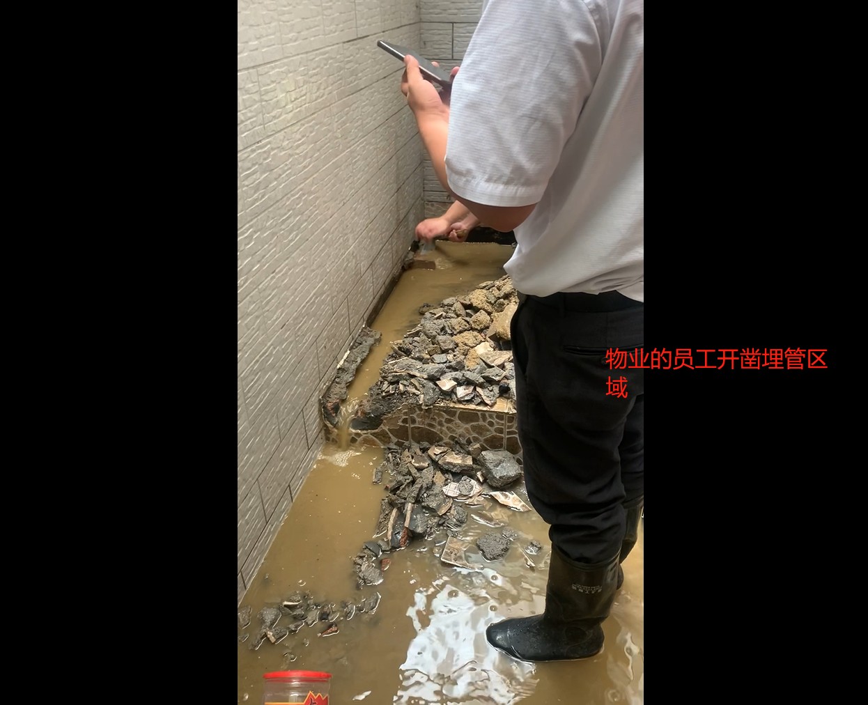 11�������������