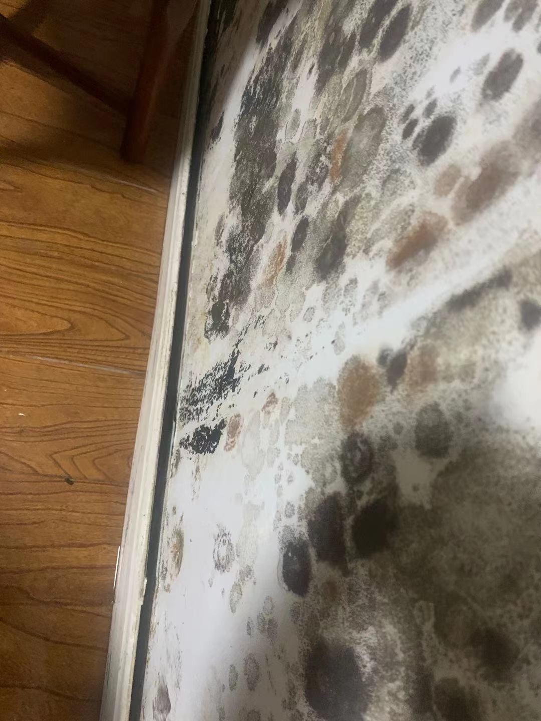 12��ǽ��ù�䡢�߽��߱�����