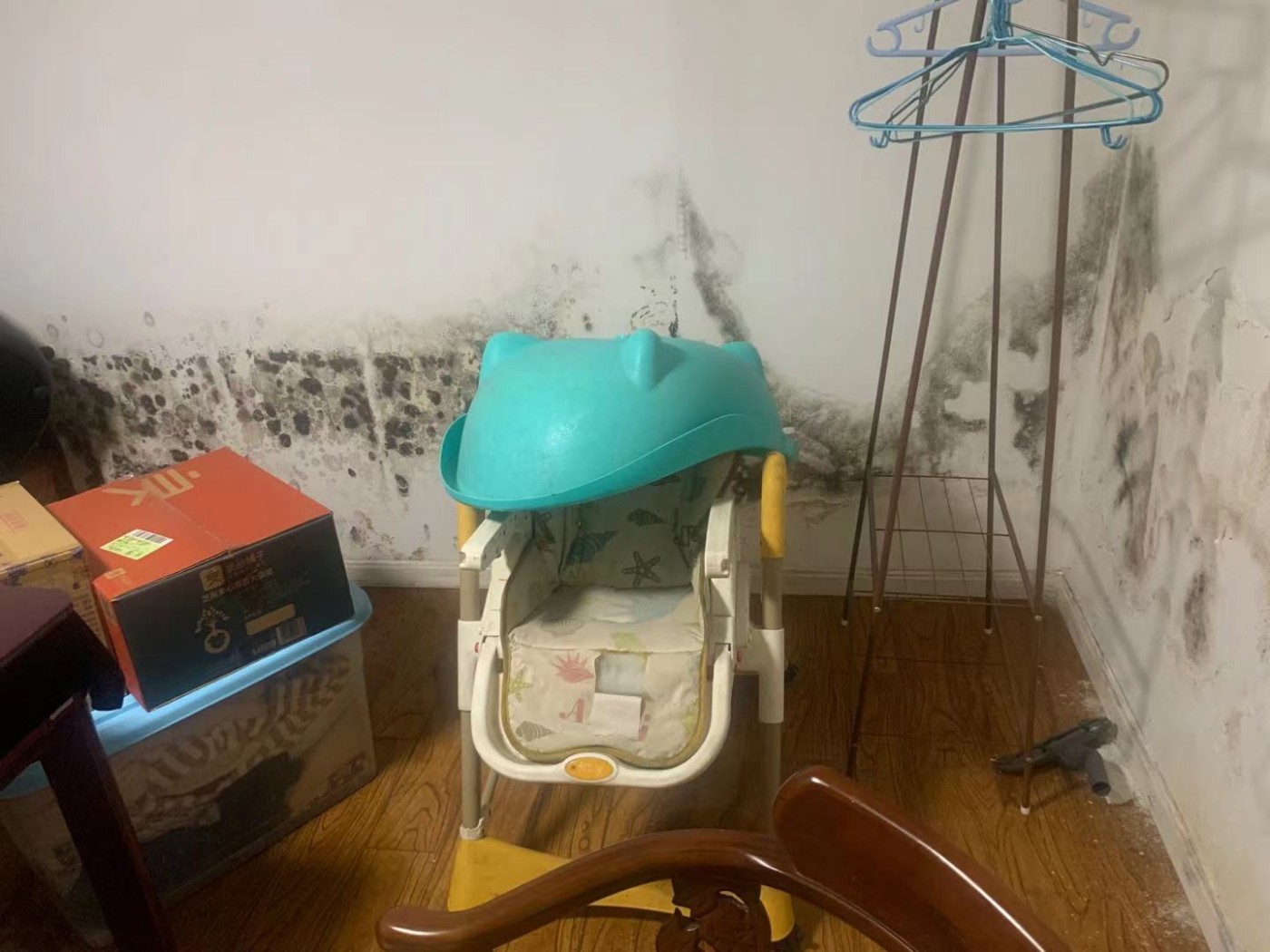 13��ǽ��ù��