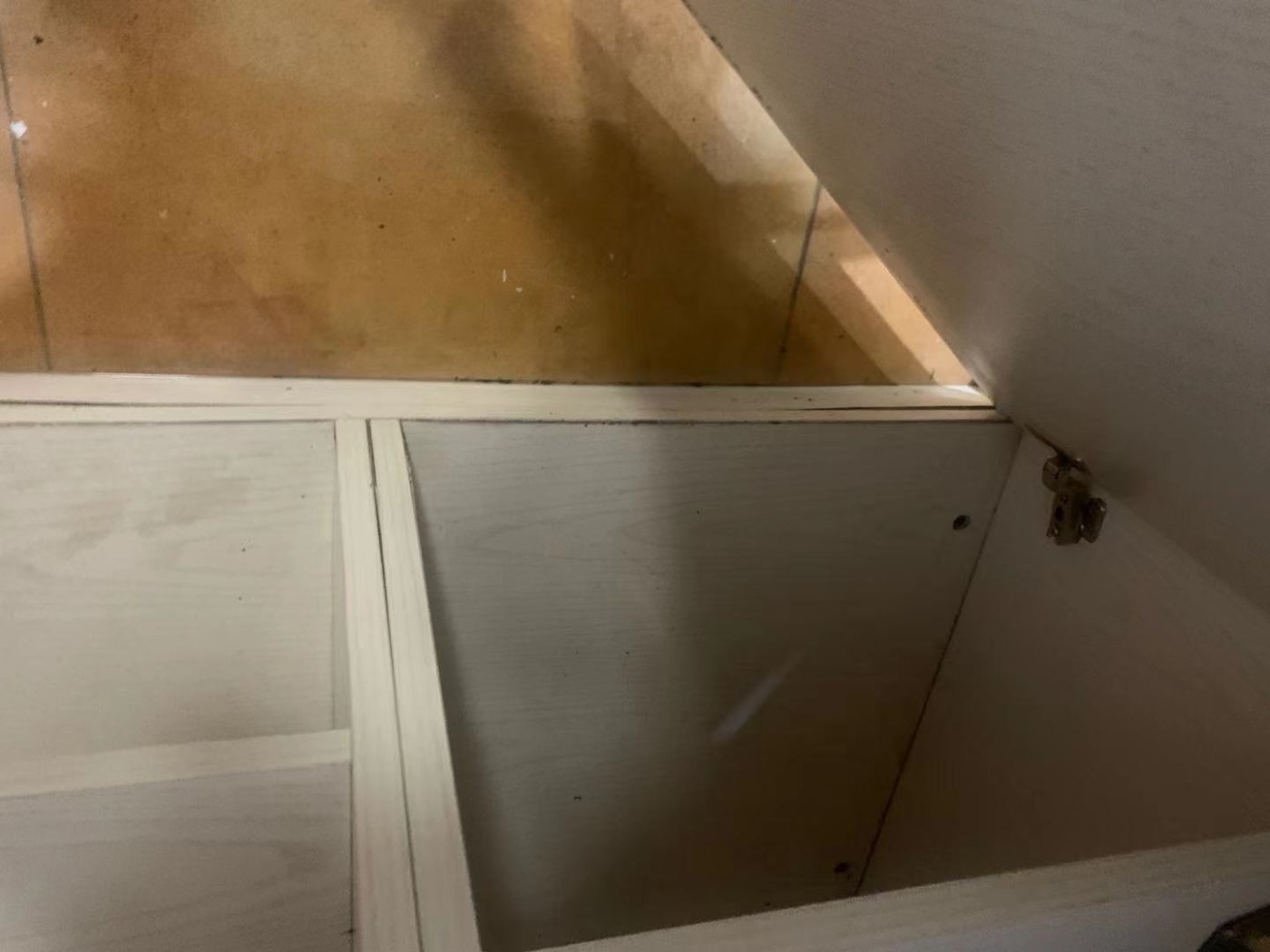 16���̶��Ҿ߱���