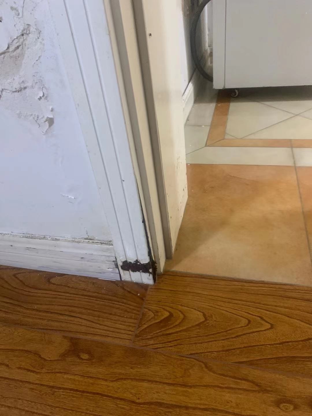 15�����ױ�����