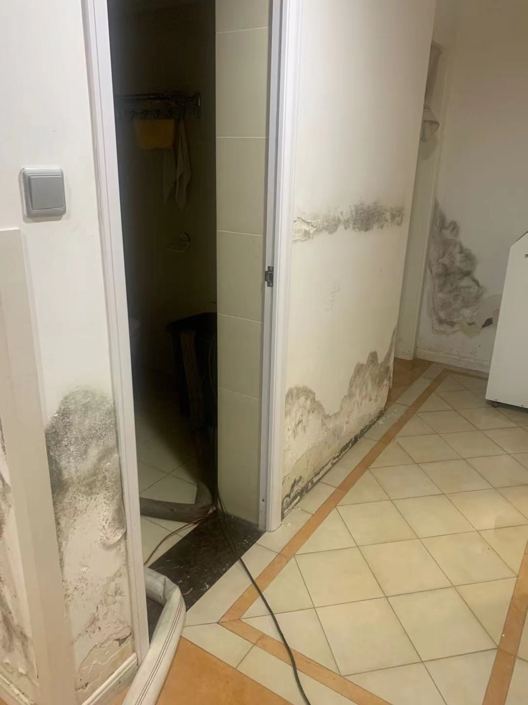 19���߽������䡢ǽ��ù������