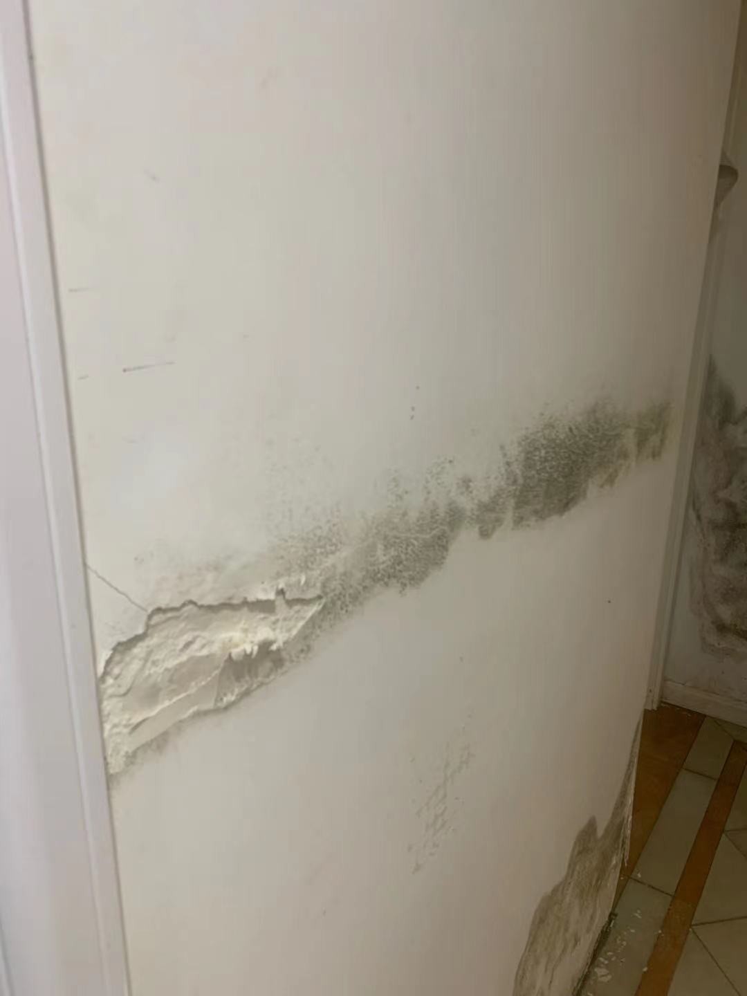 21��ǽ��ù��