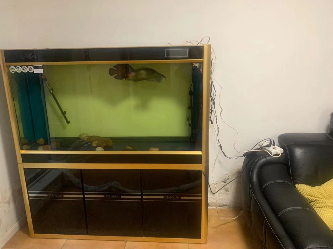 22����׵�Դ�𻵣���ӵ�Դ