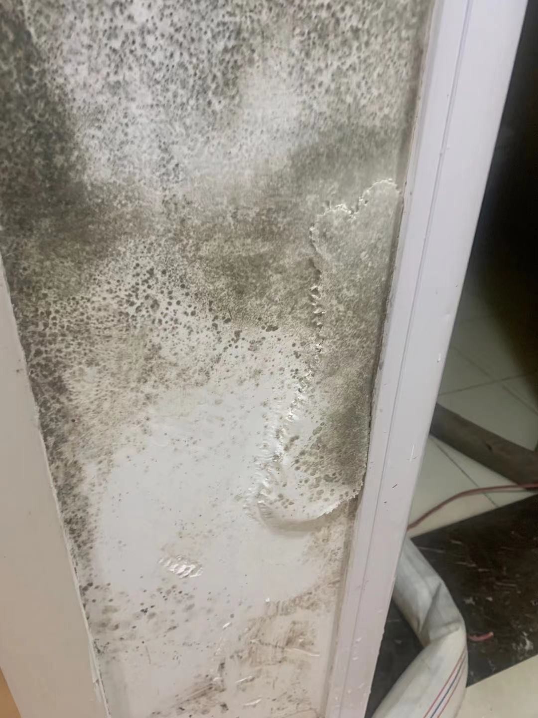 20��ǽ��ù��