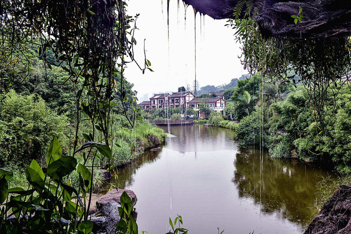 泸州张坝桂圆林风景区图片