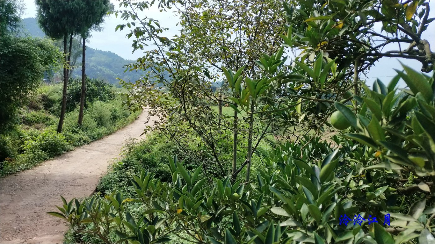 P10911-103240.jpg