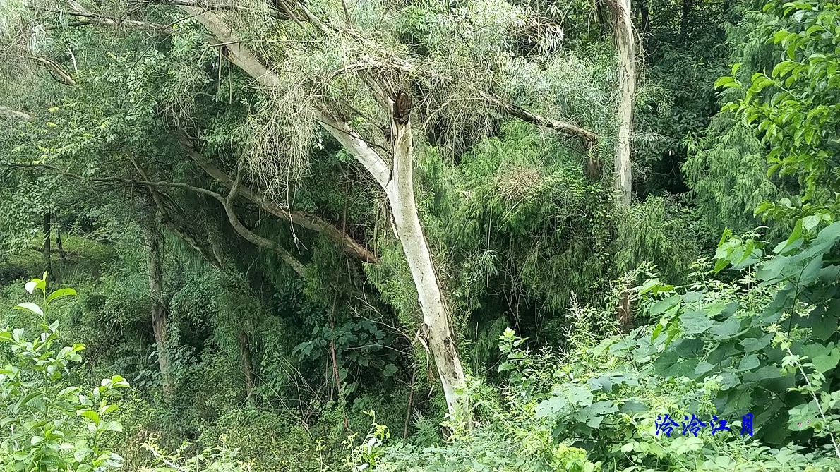 P10911-103832.jpg