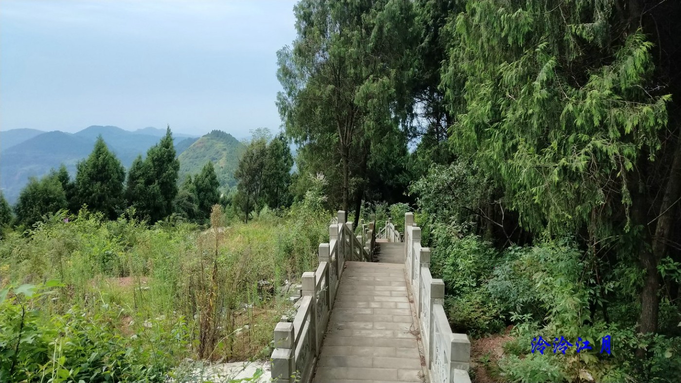 P10911-105558.jpg