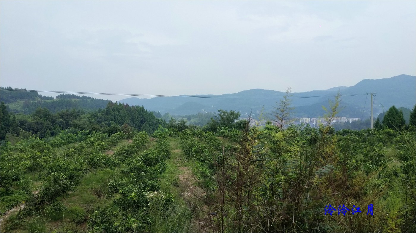 P10911-120515.jpg
