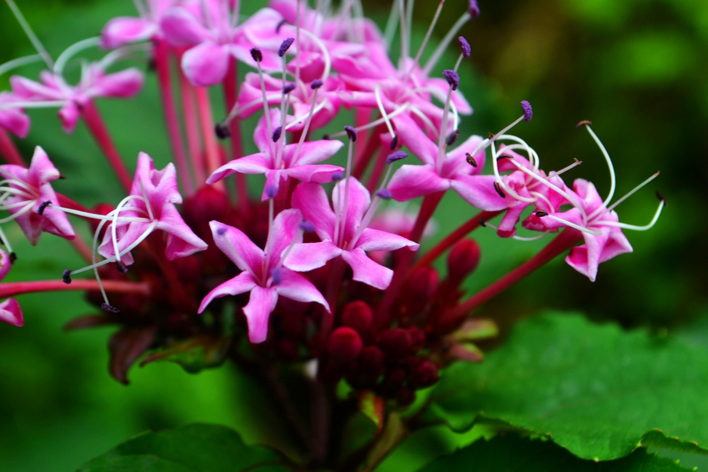 DSC_5847.JPG