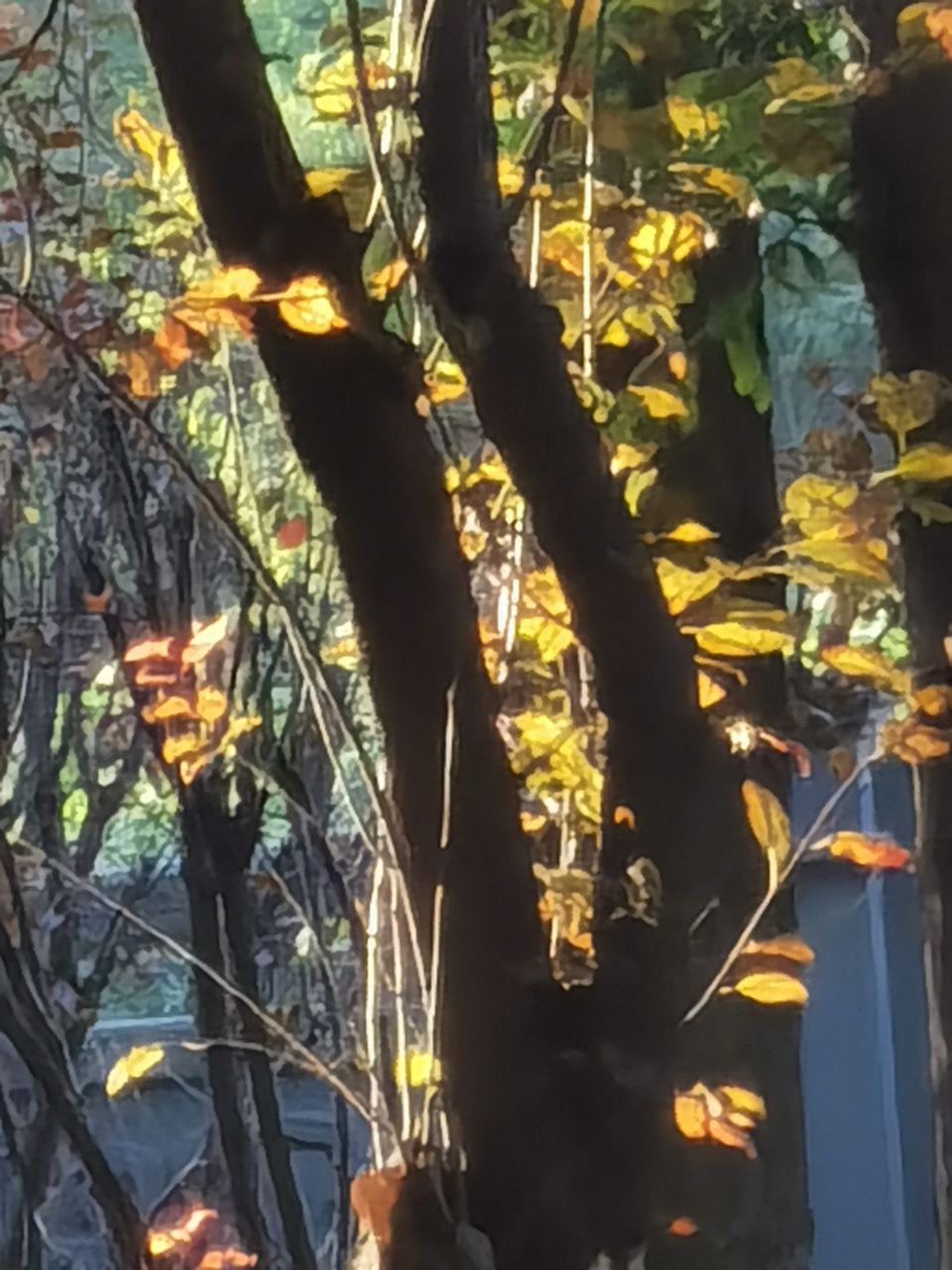 front2_0_FmVeX74nPqTPe8UuT4mnWBaF63TR.1632396591.jpg