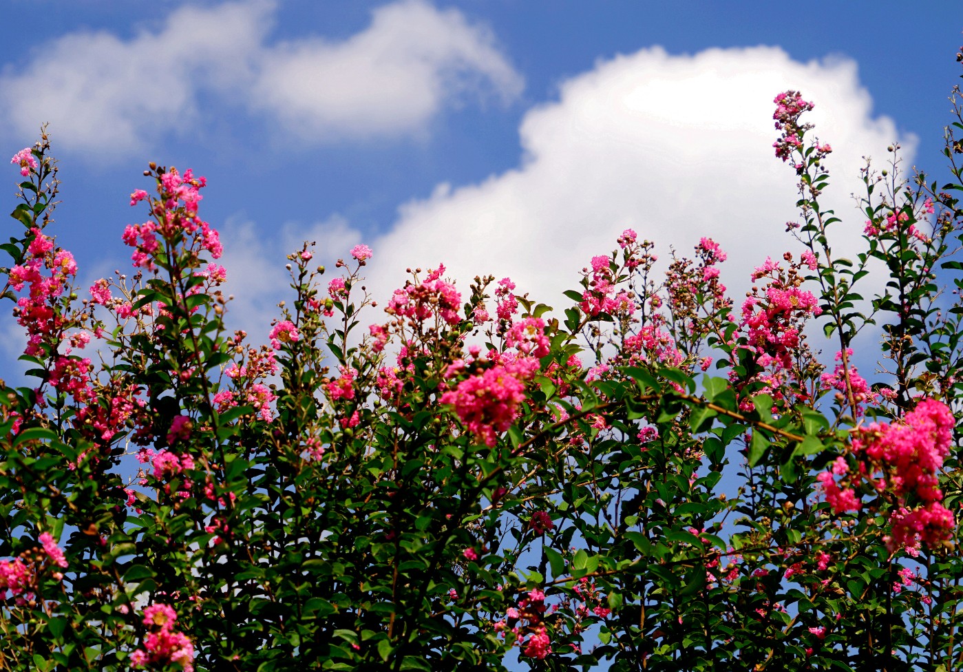 DSC07093_.jpg