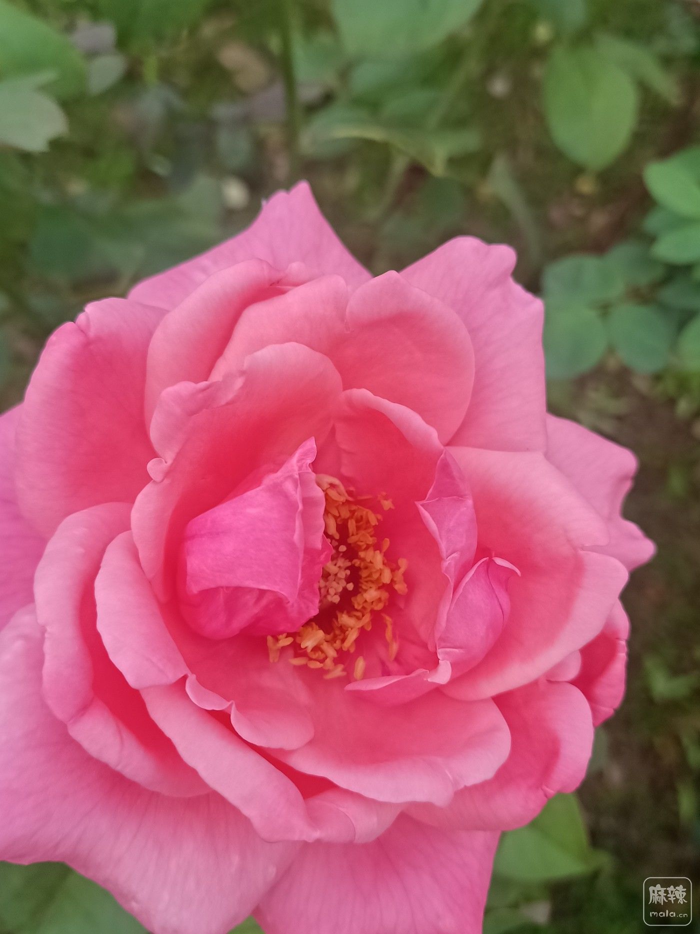 IMG20210924081837.jpg