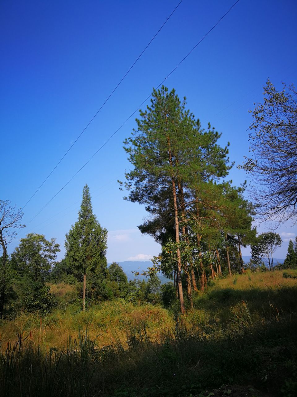 front2_0_FsJmjFerhlWsVEfWV9DMirrMBTYg.1633084842_18_40_46.jpg