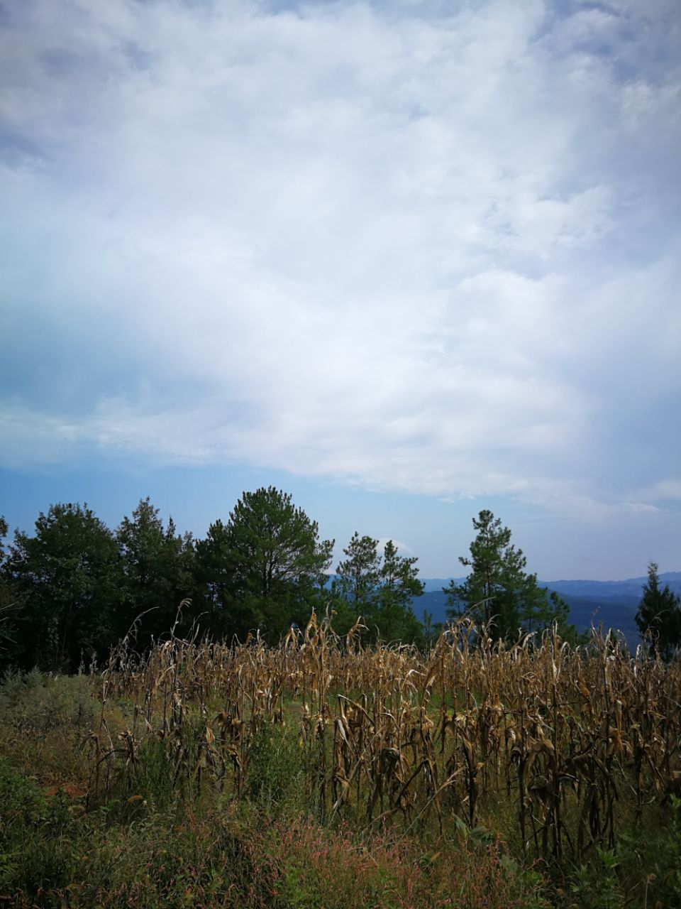 front2_0_FpP_BcMXv7FD13HqYVXMBQnzcxTI.1633084842_18_40_47.jpg