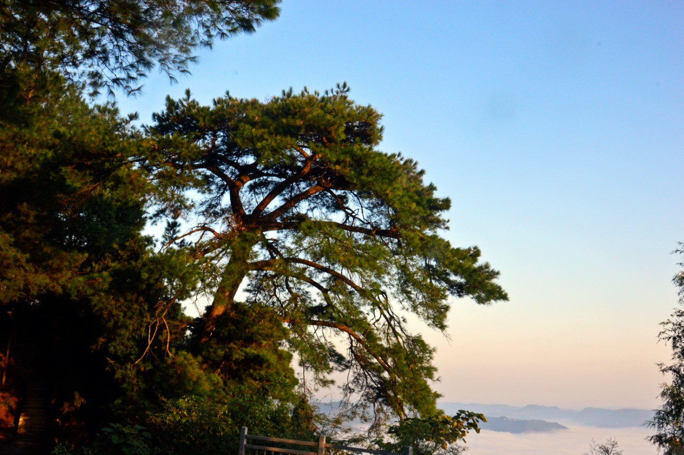 太蓬山景区图片