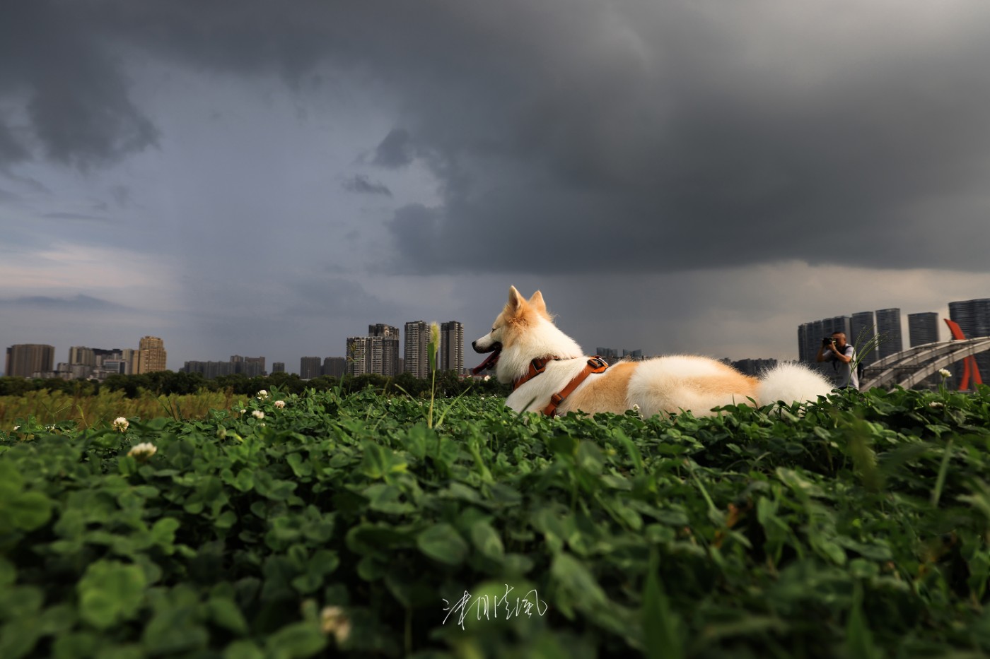 ޹-20.jpg