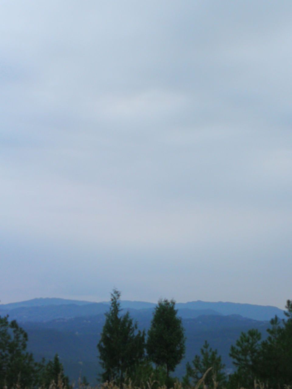 front2_0_Fp6JBEiigO2UqjNDq0r01OzuGuTf.1634008292_11_11_35.jpg