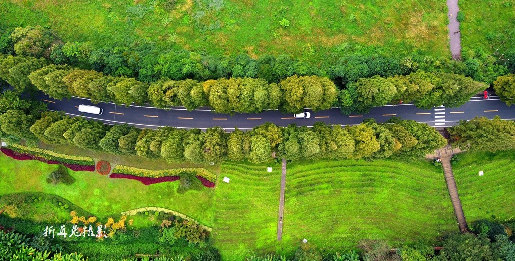 DJI_0970.jpg