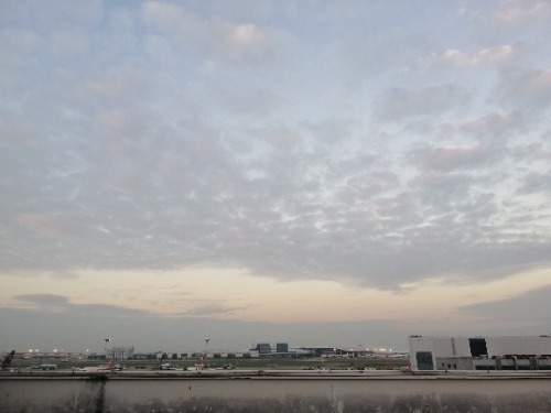 IMG_20211018_062800.jpg