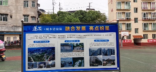 IMG_20211017_105618.jpg