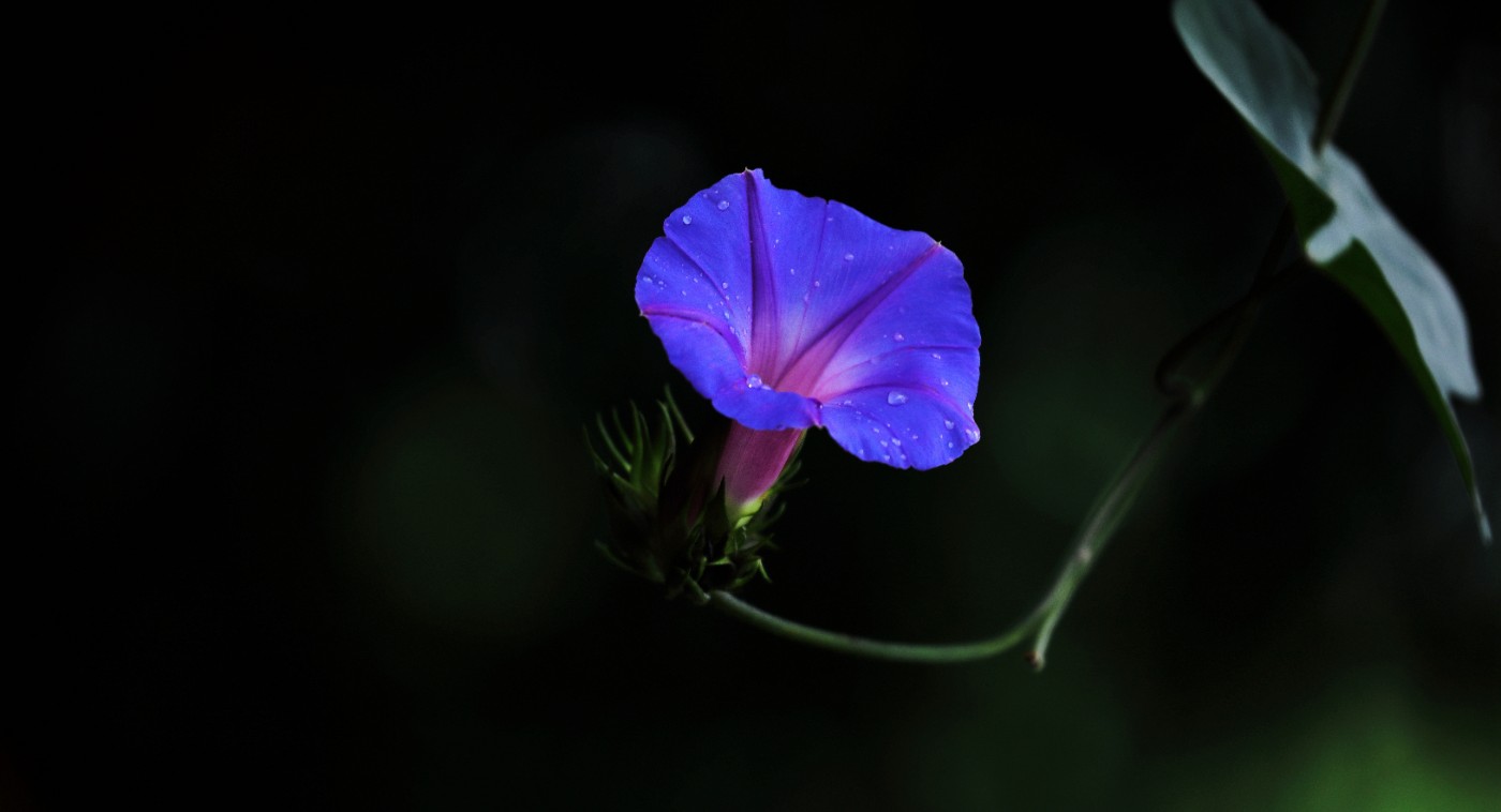8R0A3262__.jpg