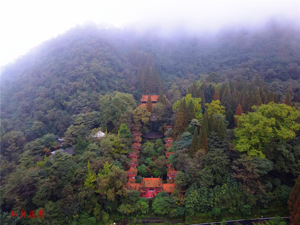 dji_export_1635054226025_.jpg