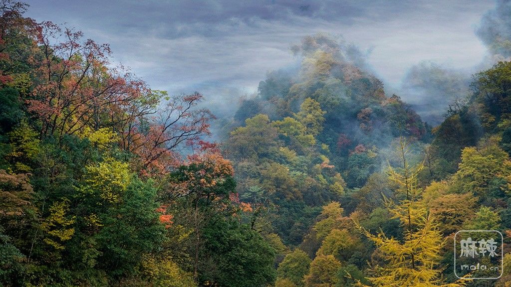 DSC00440Сͼ.jpg