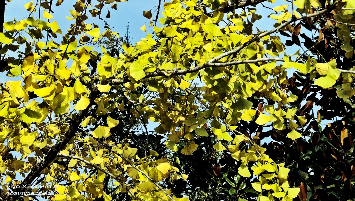 ΢ͼƬ_20211106103416.jpg